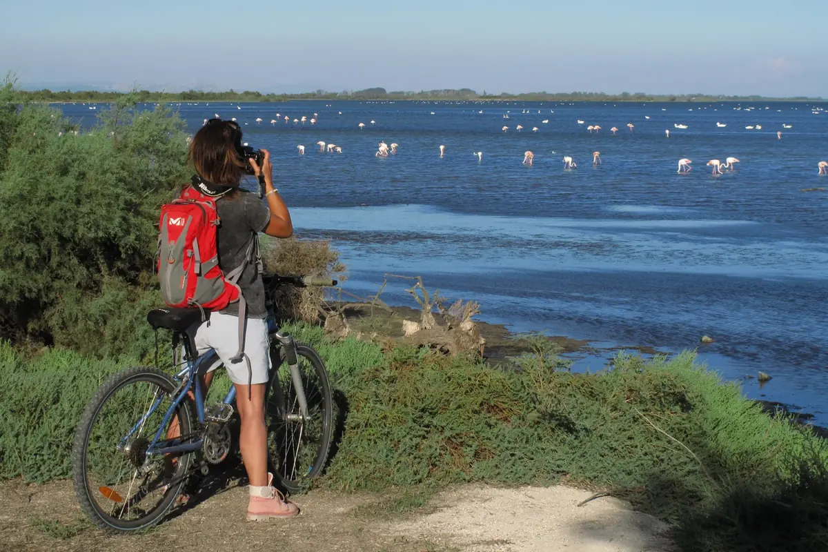 Vivre la Camargue