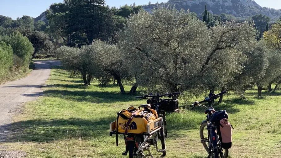 Cyclistes et vélos chargés sous les oliviers